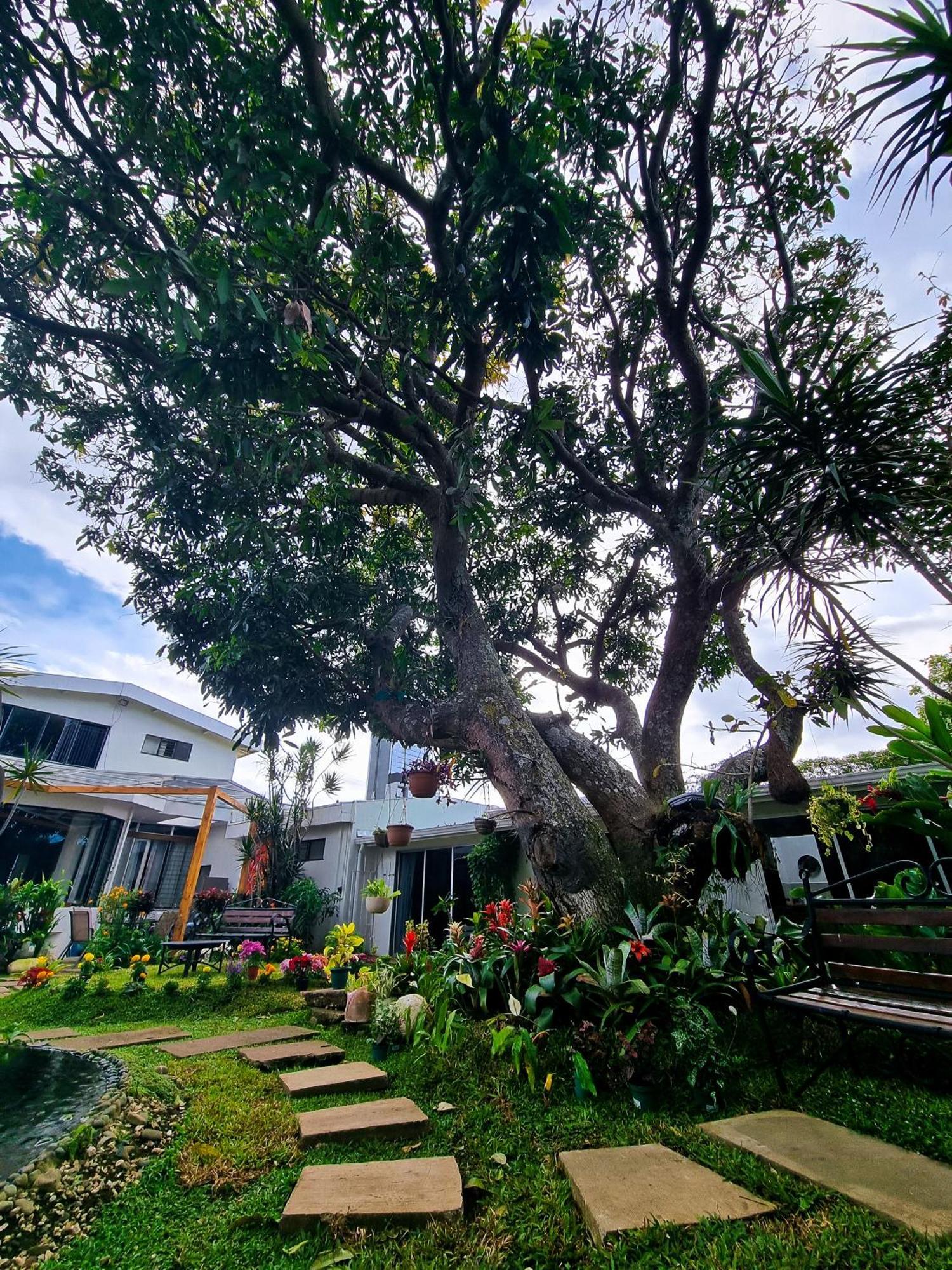 Готель Casa Jardin Del Mango Сан-Хосе Екстер'єр фото